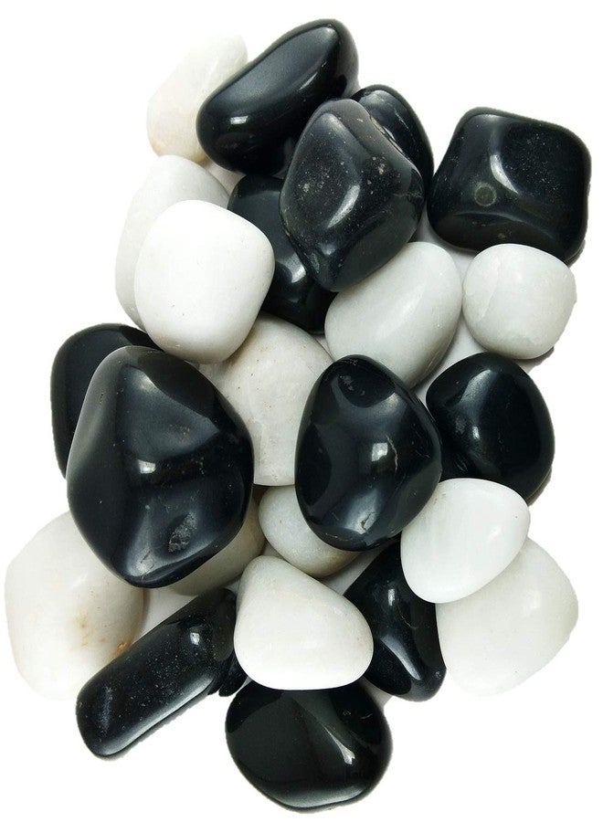 دي أس حصى/أحجار مصقولة لامعة باللونين الأسود والأبيض من DS1 للحدائق الخارجية، وأحواض السمك، والطاولات، والمزهريات، والنوافير، 950 غرام - Image 1